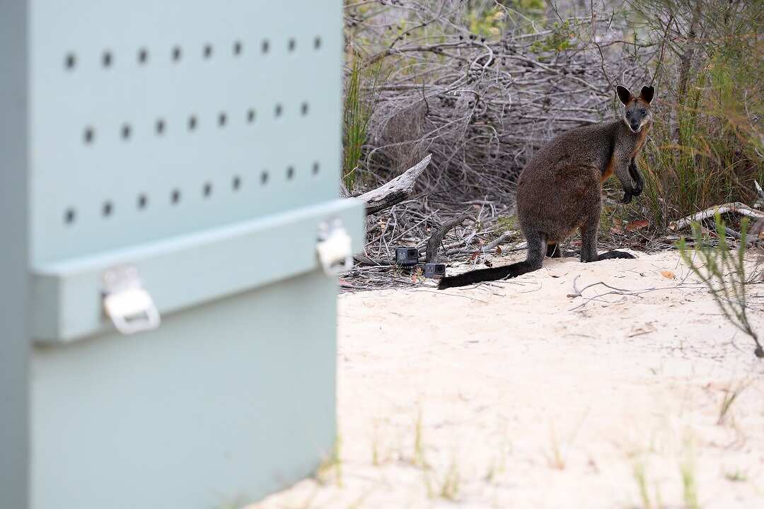 "Syd" has a new home.