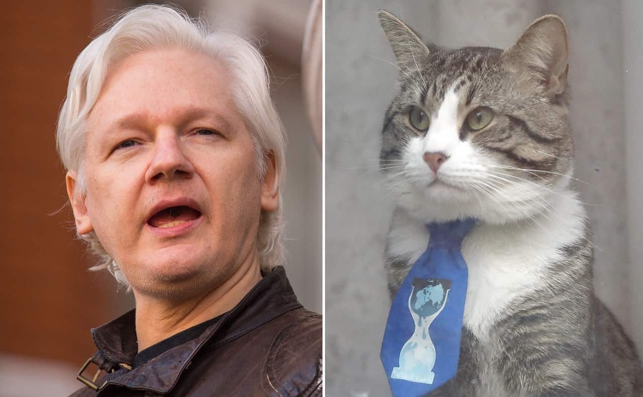 Julian Assange and his cat. He's been ordered to clean up after his cat and pay his bills.