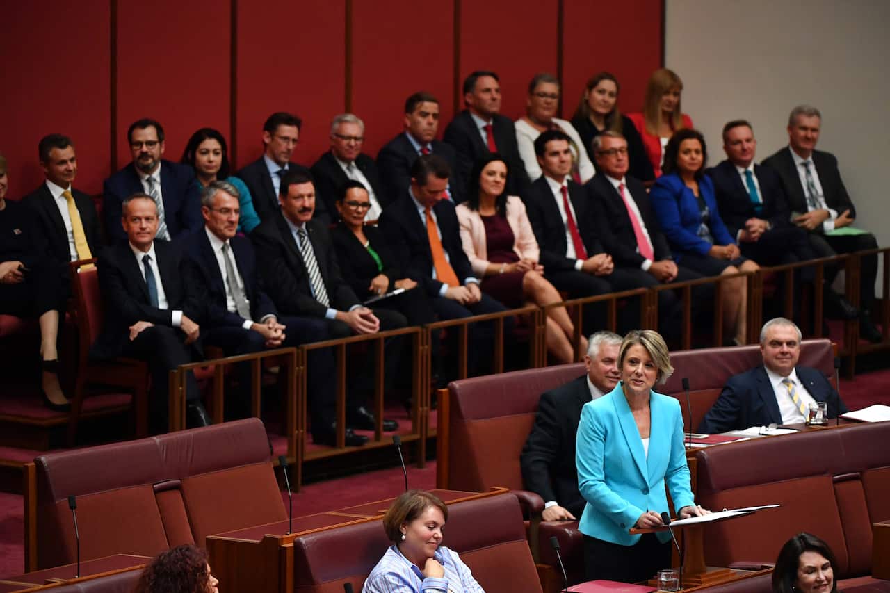 Labor Senator Kristina Keneally during her maiden speech.