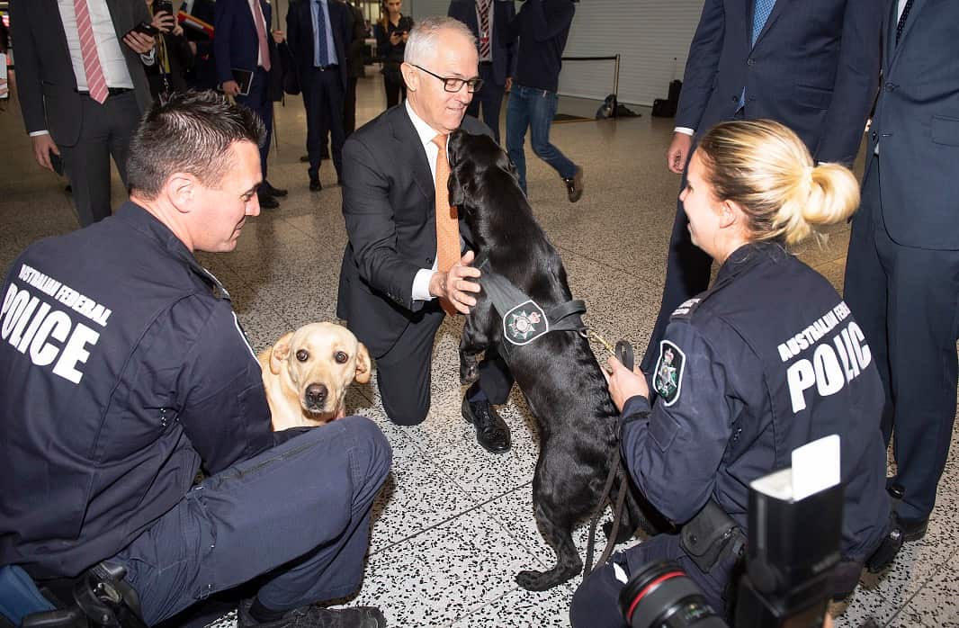 The Prime Minister Malcolm Turnbull met customs dogs Foxy and Ishtar after the announcement at Tullamarine Airport