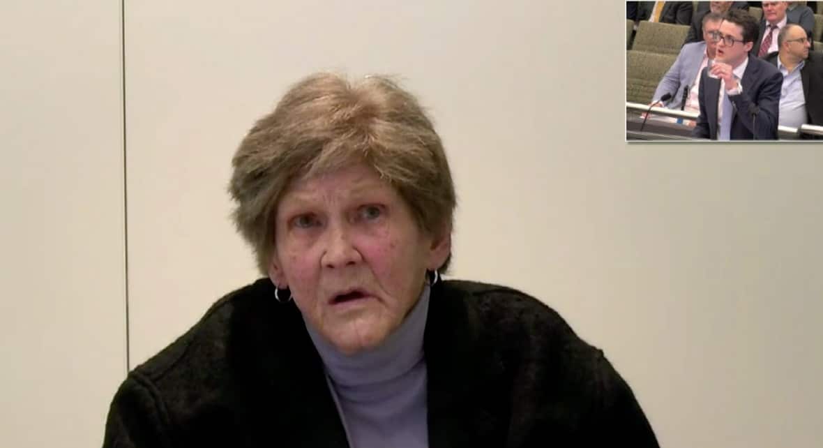 Carolyn Flanagan appears at the royal commission.