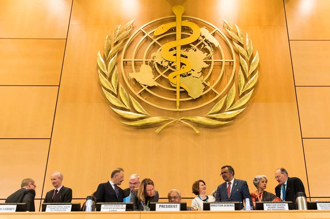 The World Health Assembly at the European headquarters of the United Nations in Geneva.