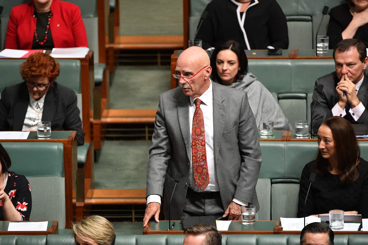 Labor MP Warren Snowdon in parliament 