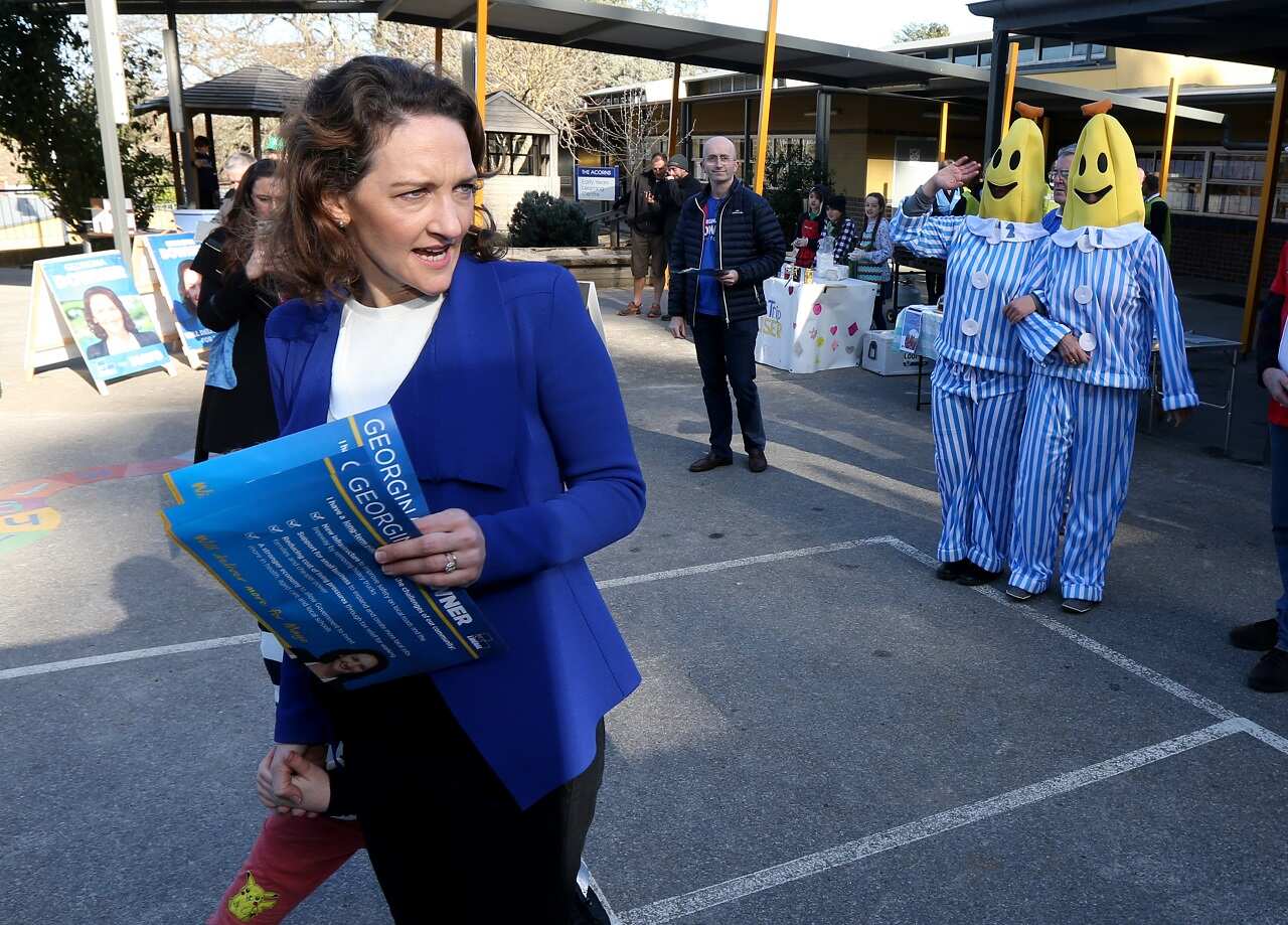 GetUp volunteers dressed as the ABC's Bananas in Pyjamas follow Liberal candidate Georgina Downer.