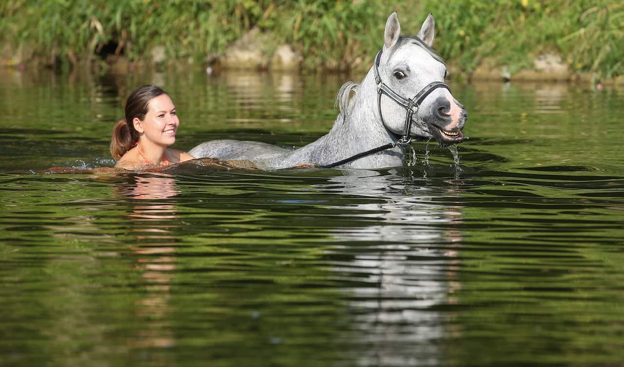 dpatop - Melissa takes a bath with her horse at the Danube River in Riedlingen-Neufra, Germany, 03 August 2018. Photo: Thomas Warnack/dpa