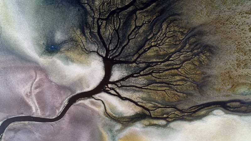 Duden Lake, which hosts 185 bird species, including most flamingos in the Kulu province of Konya, has begun to narrow the habitat of drought birds that began due to global warming.