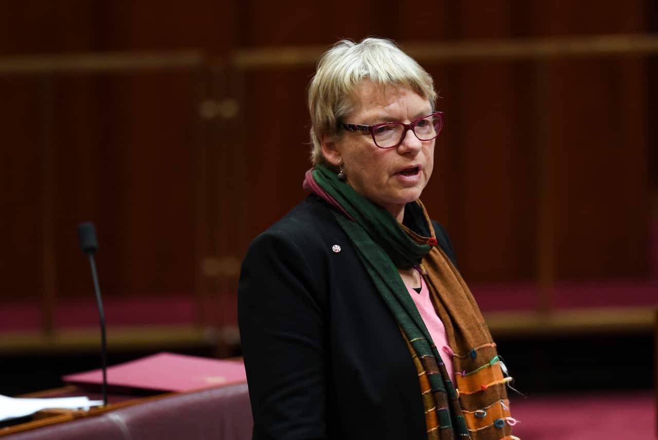 Greens Senator Janet Rice in the Senate
