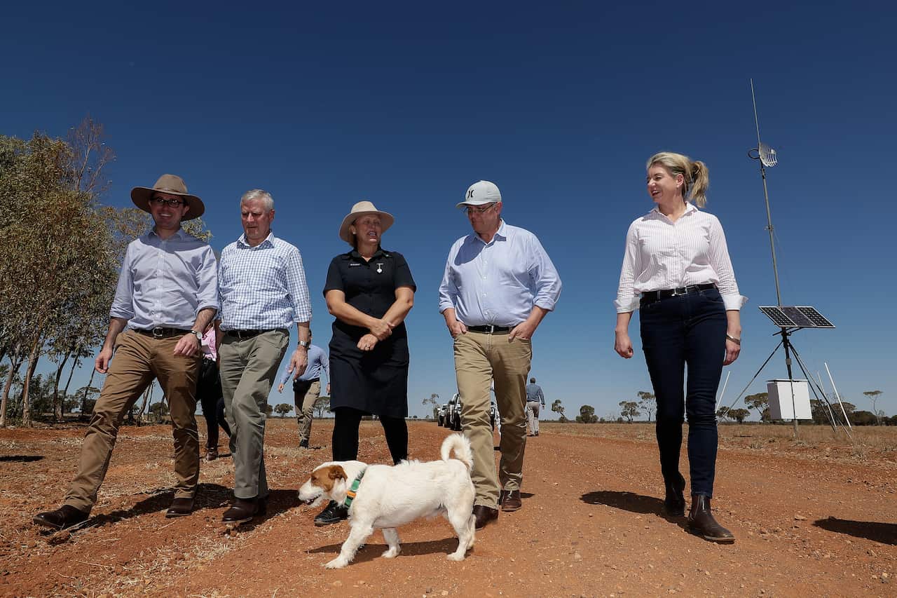 The Agriculture Minister says she does not believe aid for farmers will jeopardise Australia's free-trade obligations.