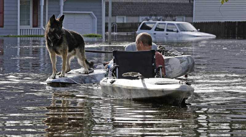 A man tries to get his dog out of a flooded neighborhood in Lumberton, N.C., Monday, Sept. 17, 2018, in the aftermath of Hurricane Florence.