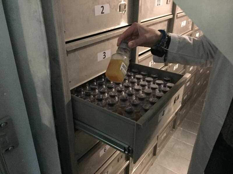 A general view of a urine sample taken in a Moscow anti-doping lab