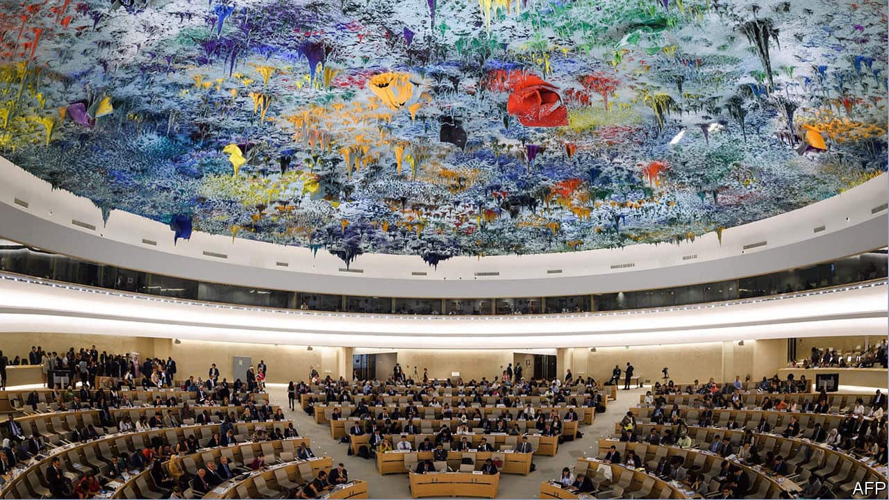 The United Nations Human Rights Council.