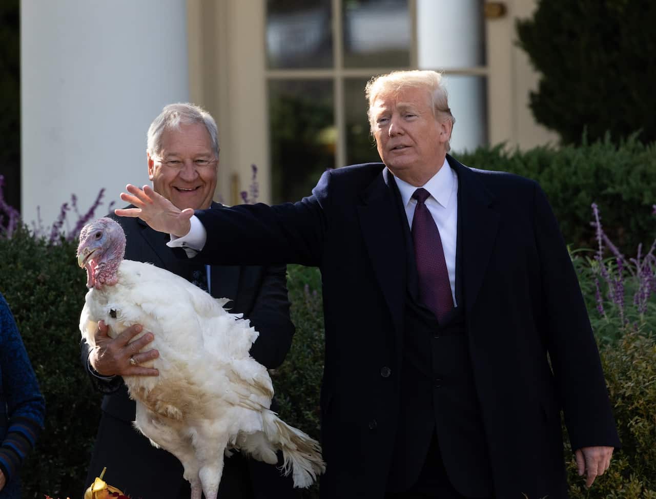 President Donald Trump pardons Peas the Turkey at the White House.