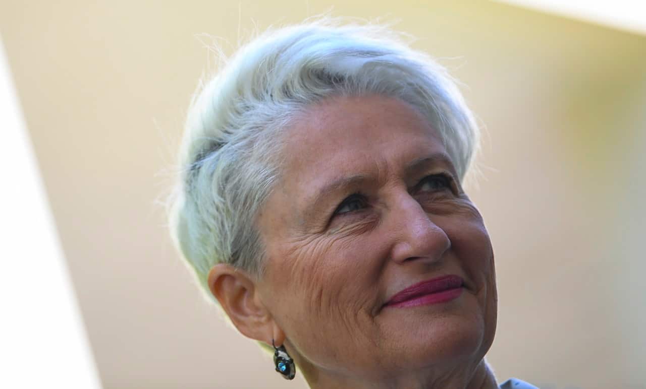 Kerryn Phelps speaks to the media on Wednesday.