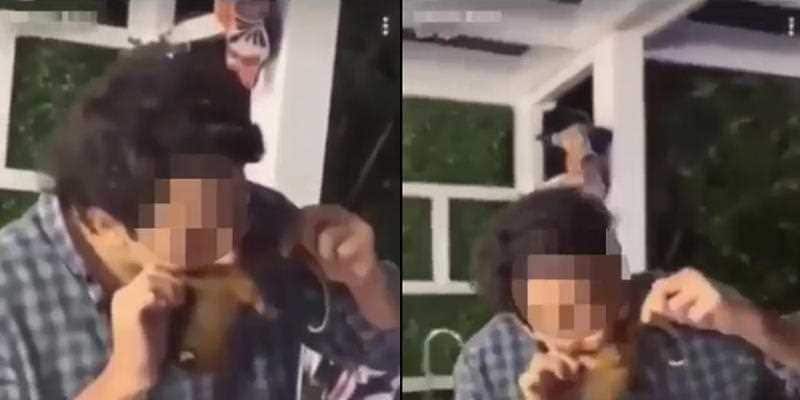 A disturbing video shared by RSPCA shows man biting a possum.