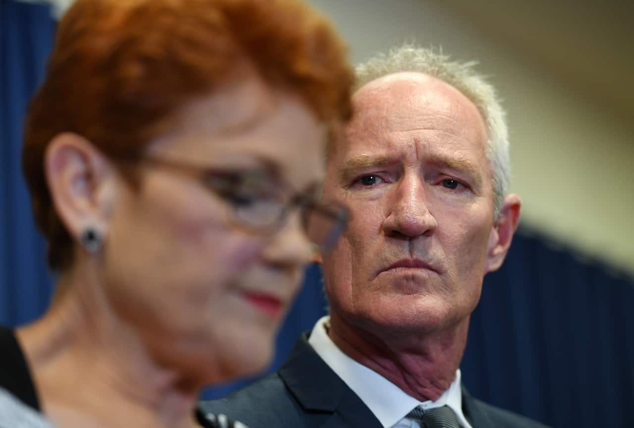 One Nation leader Pauline Hanson says the party's Queensland leader Steve Dickson was a victim of a set up. 