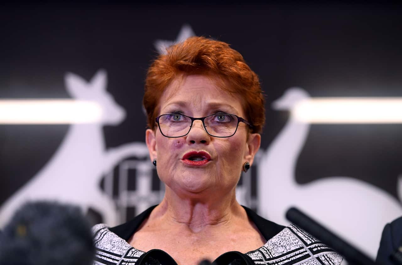 Senator Pauline Hanson says the role of a journalist should be defined.