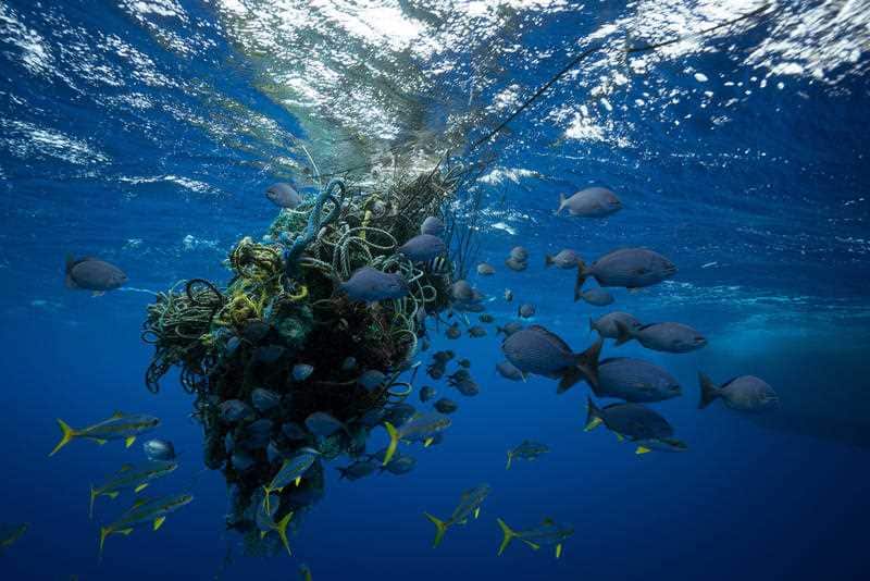 A ghost net found drifting through the Great Pacific Garbage Patch.
