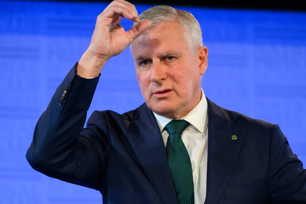 Deputy Prime Minister Michael McCormack is seen speaking at the National Press Club in Canberra, Tuesday, April 30, 2019. (AAP Image/Rohan Thomson) NO ARCHIVING