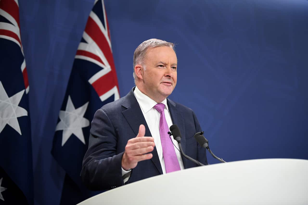Labor leader Anthony Albanese was confirmed as the new opposition leader on Monday. 