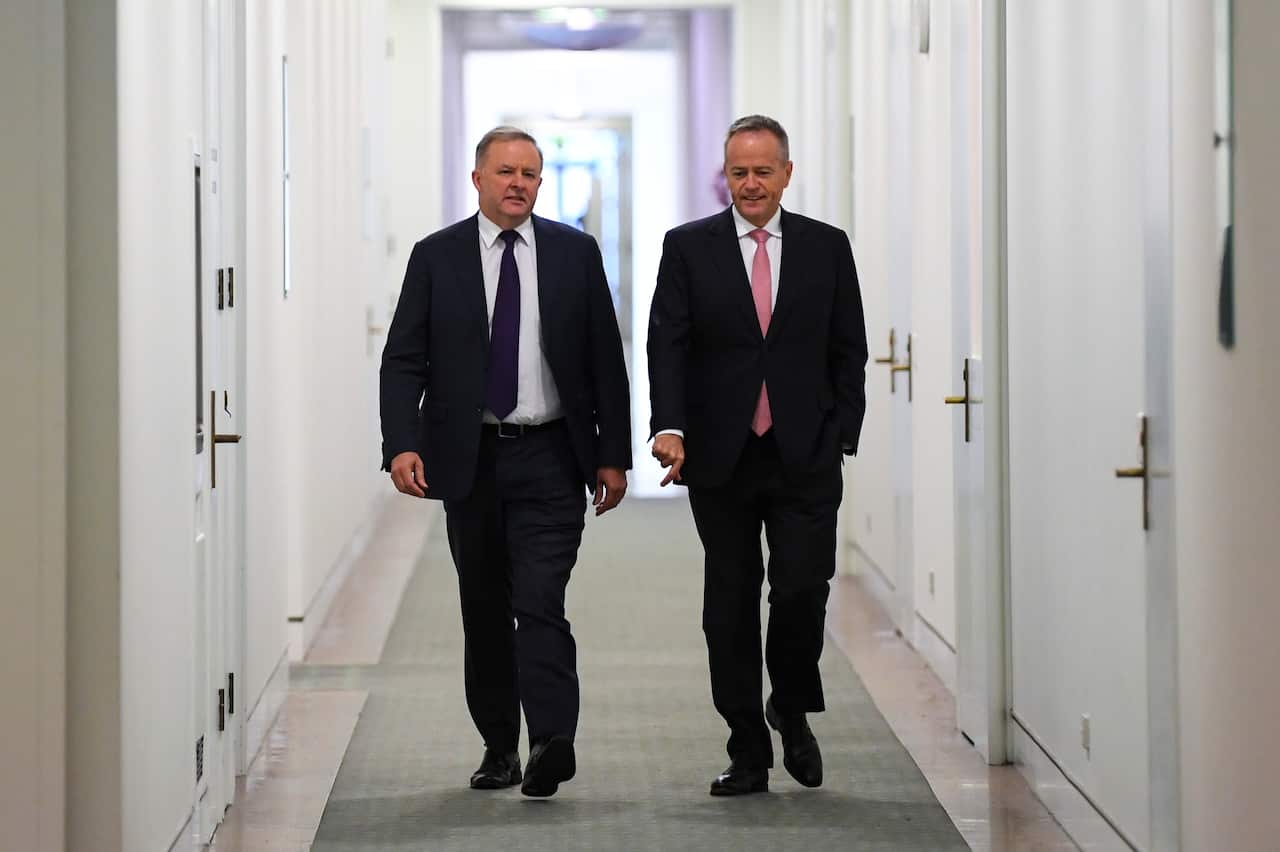 Anthony Albanese and Bill Shorten walk into  caucus meeting together.