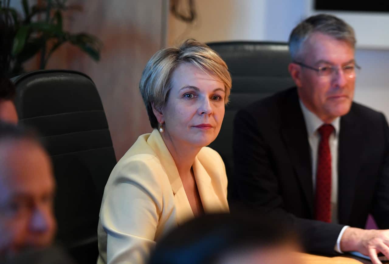 Labor frontbencher Tanya Plibersek also said the comments were not acceptable and praised the premier for her "graceful" response.