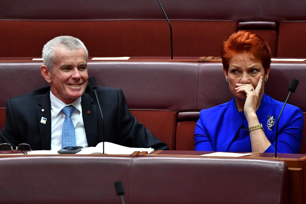 Senator Malcolm Roberts and Senator Pauline Hanson during proceedings to mark the start of the 46th Parliament at Parliament House in Canberra, Tuesday, 2 July 2019. (AAP Image/Sam Mooy) NO ARCHIVING