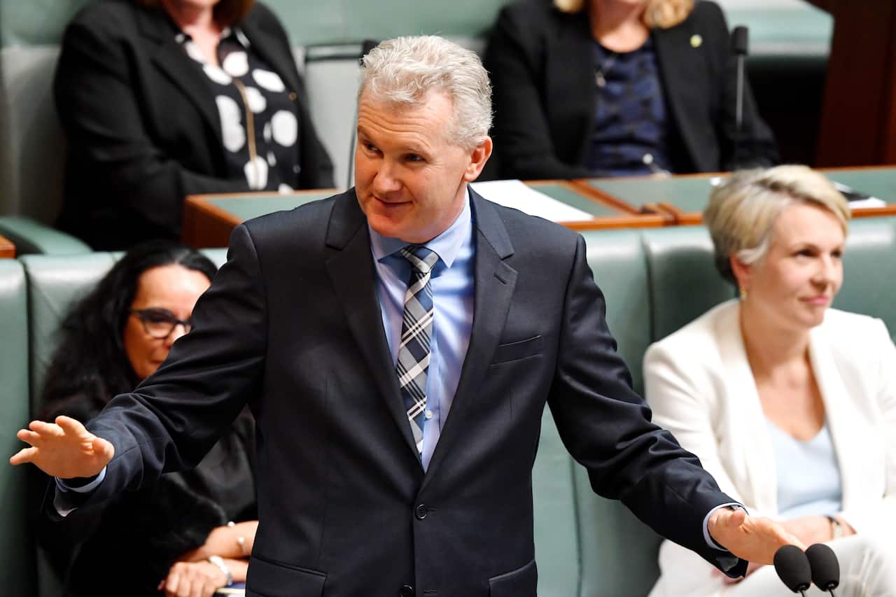 Manager of Opposition Business Tony Burke.