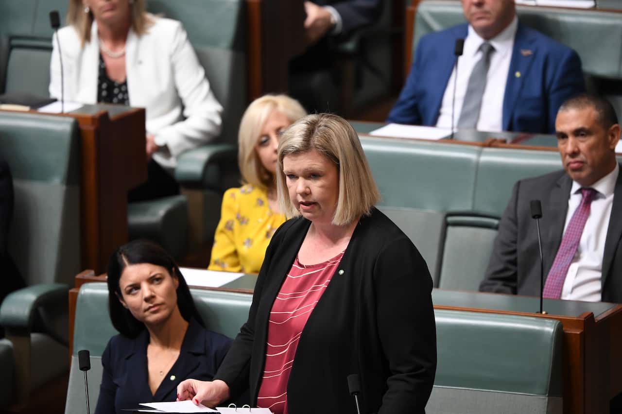 The member for Bass Bridget Archer delivers the reply speech to the Governor-General during debate in the House of Representatives at Parliament House in Canberra, Thursday, July 4, 2019. (AAP Image/Lukas Coch) NO ARCHIVING