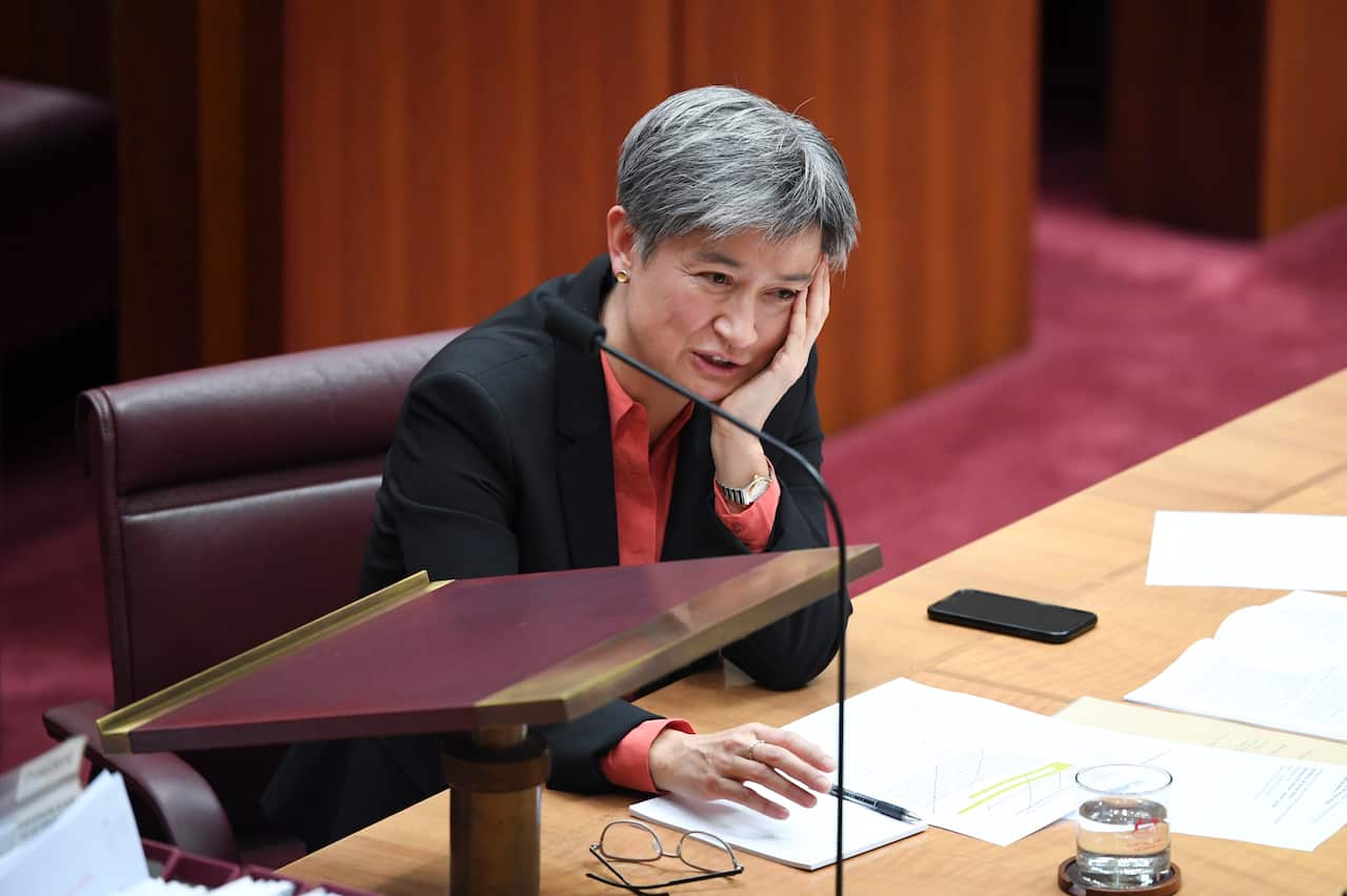 The Leader of the Opposition Penny Wong reacts during debate in the Senate at Parliament House in Canberra, Thursday, 4 July, 2019. (AAP Image/Lukas Coch)