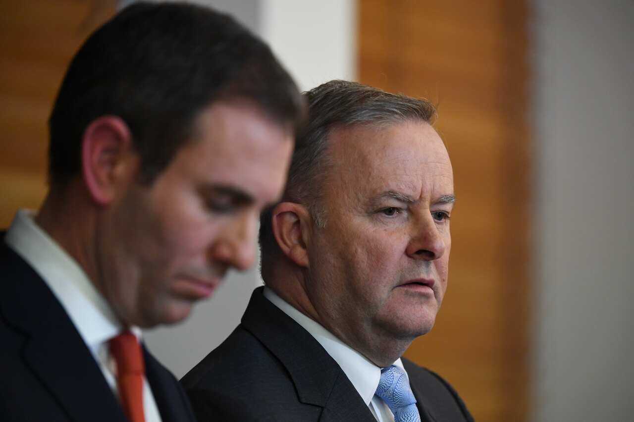 Opposition Leader Anthony Albanese and Shadow Treasurer Jim Chalmers.