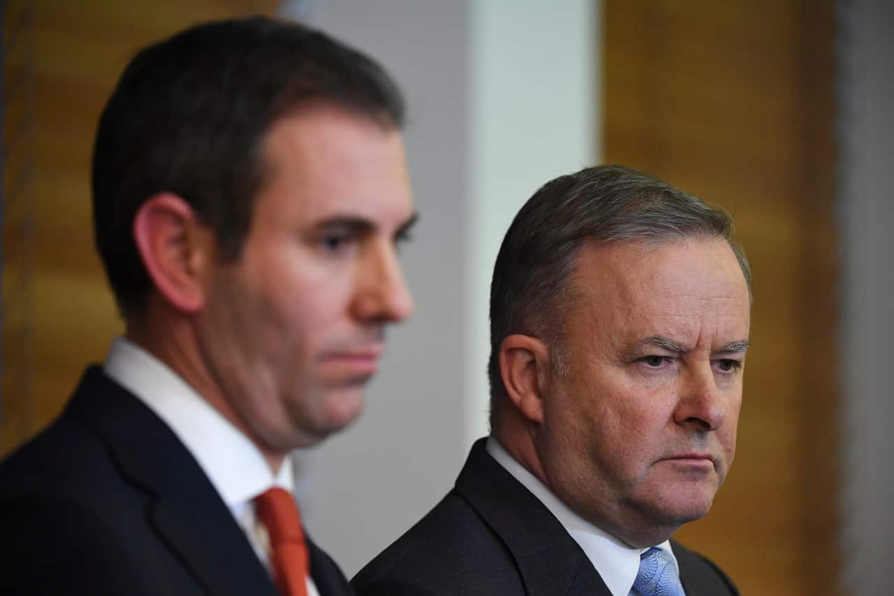 Opposition Leader Anthony Albanese and shadow Treasurer Jim Chalmers speak to the media.
