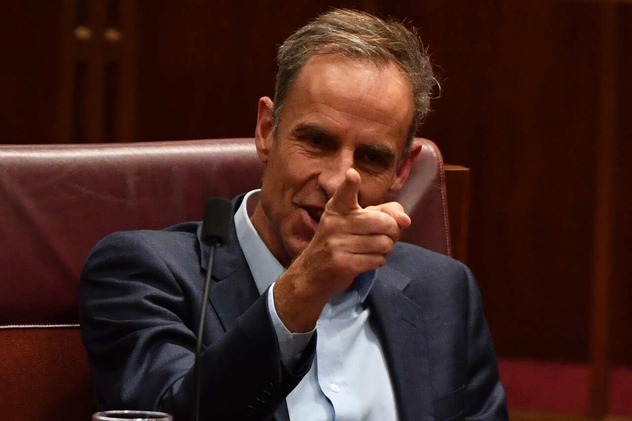 Greens Senator Nick McKim.