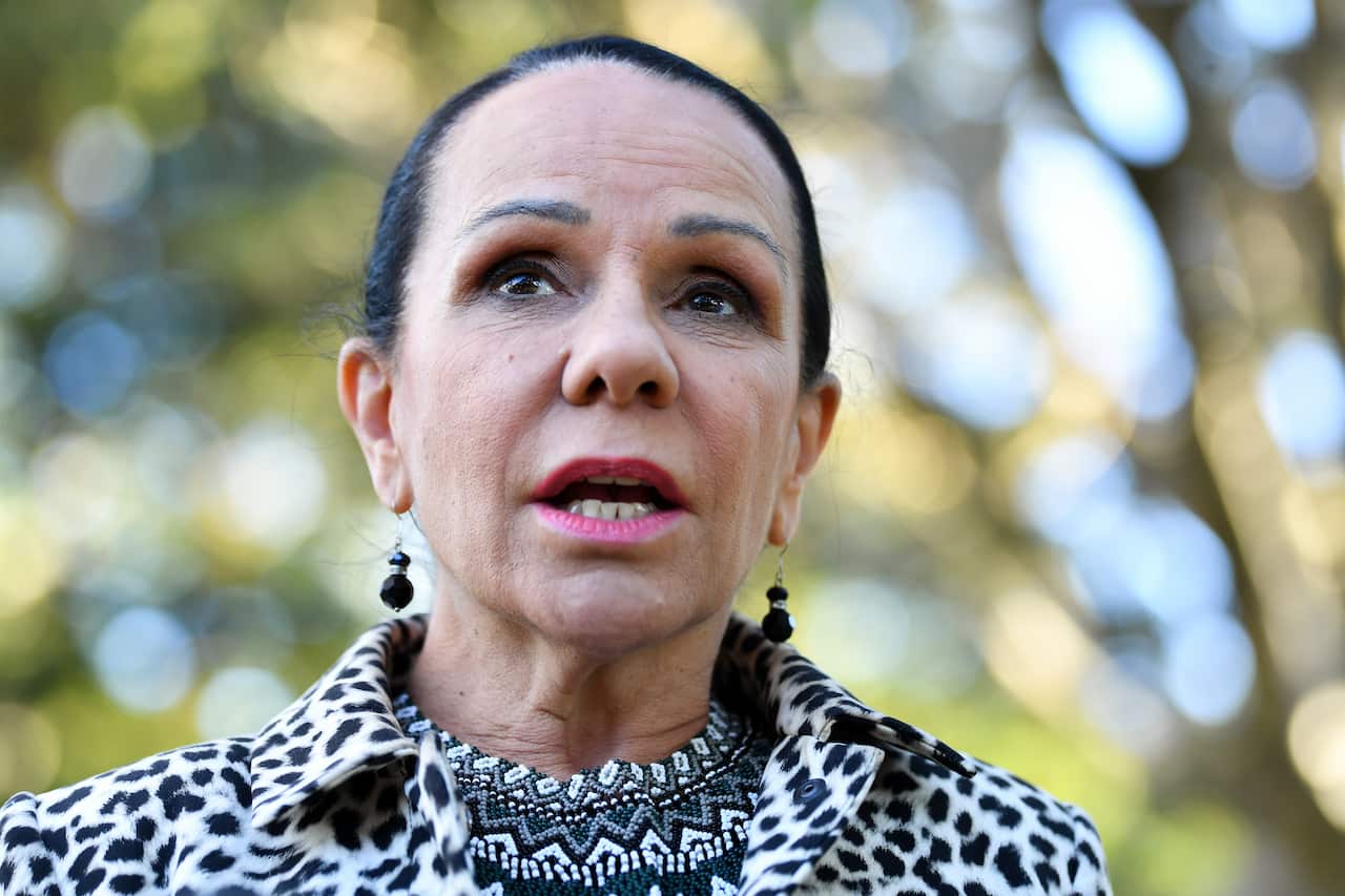 Shadow Minister for Indigenous Australians, Linda Burney.