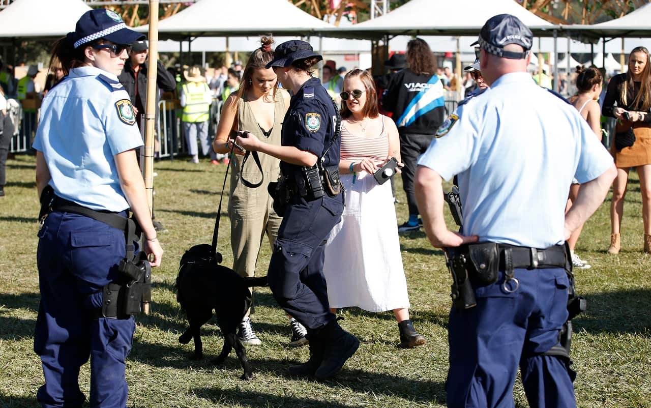 Police dog squad search people coming in to Splendour in the Grass music festival in Byron Bay.