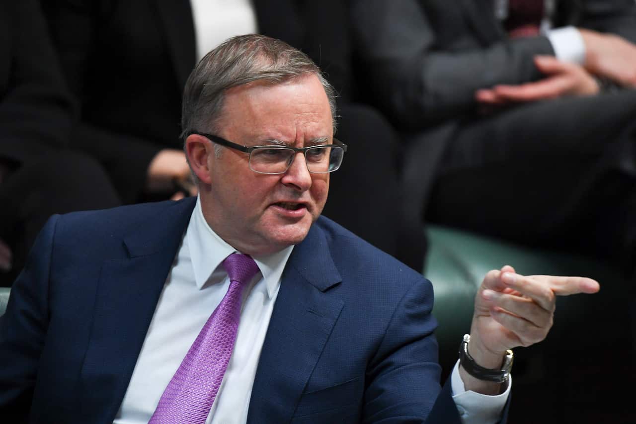 Australian Opposition Leader Anthony Albanese reacts during House of Representatives Question Time at Parliament House in Canberra, Monday, 29 July, 2019. (AAP Image/Lukas Coch) NO ARCHIVING