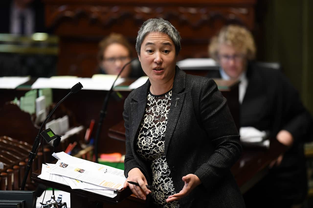 Member for Newtown Jenny Leong speaks during amendments to the Reproductive Healthcare Reform Bill 2019 in Sydney. 