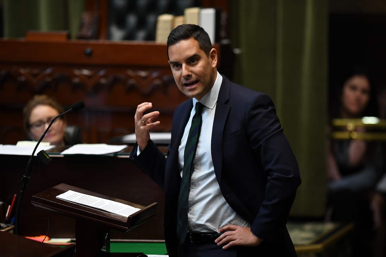 NSW Member for Sydney Alex Greenwich speaks during amendments to the introduction to the Reproductive Healthcare Reform Bill 2019.