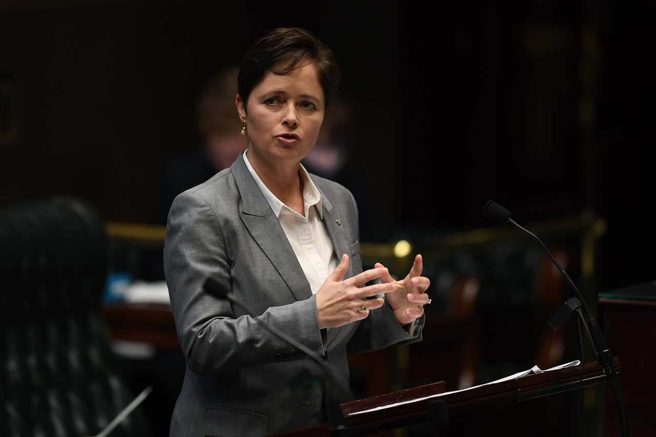 Member for Mulgoa Tanya Davies speaks during amendments to the introduction to the Reproductive Healthcare Reform Bill 2019.