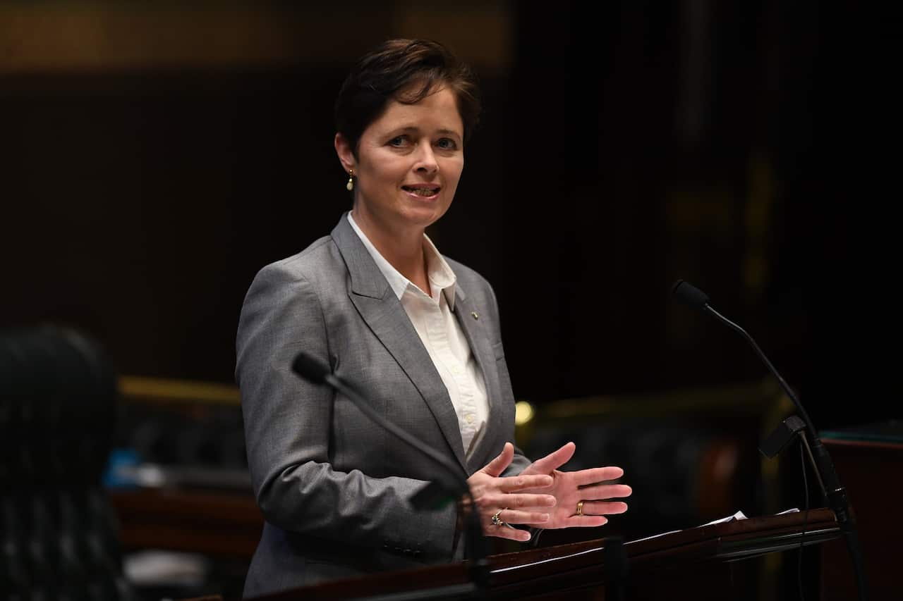 Member for Mulgoa Tanya Davies speaks during amendments to the introduction to the Reproductive Healthcare Reform Bill 2019.