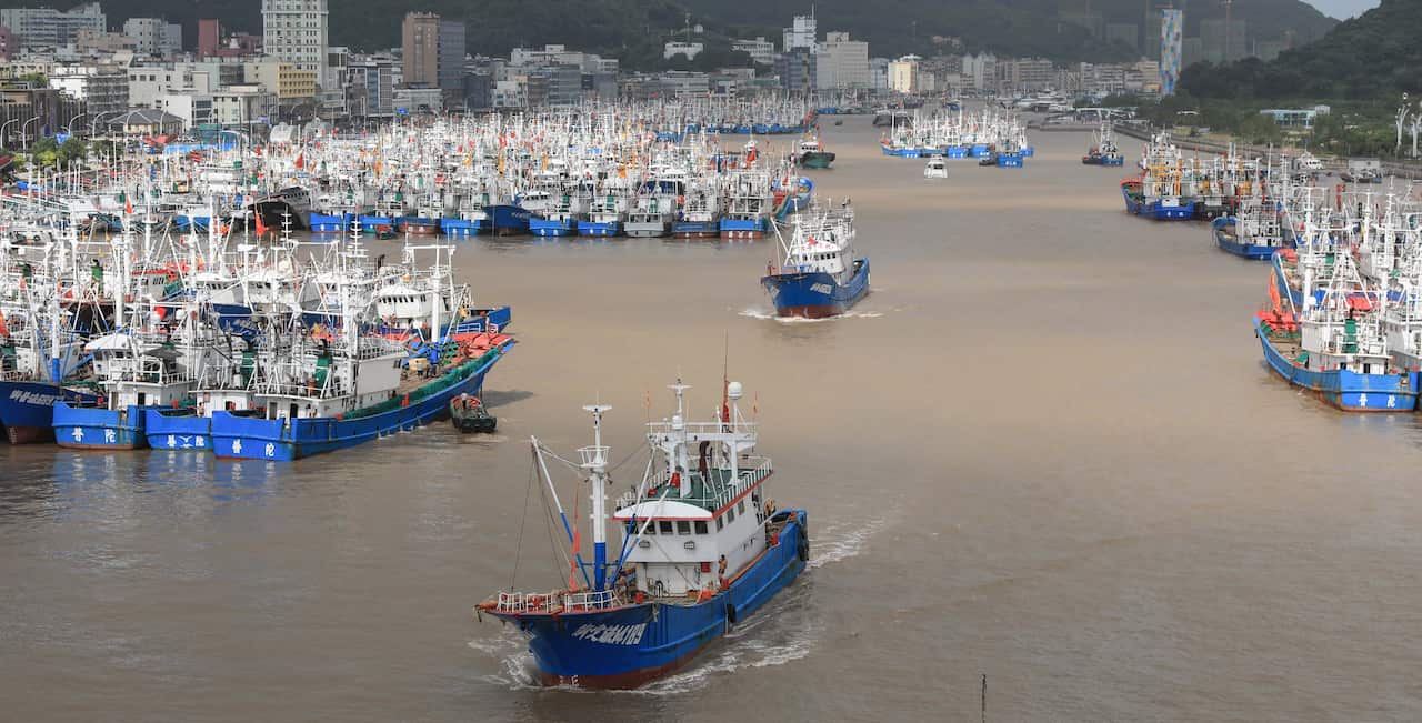 Fishing boats are docked at the Shenjiamen Fishing Port in preparation for the Typhoon Lekima