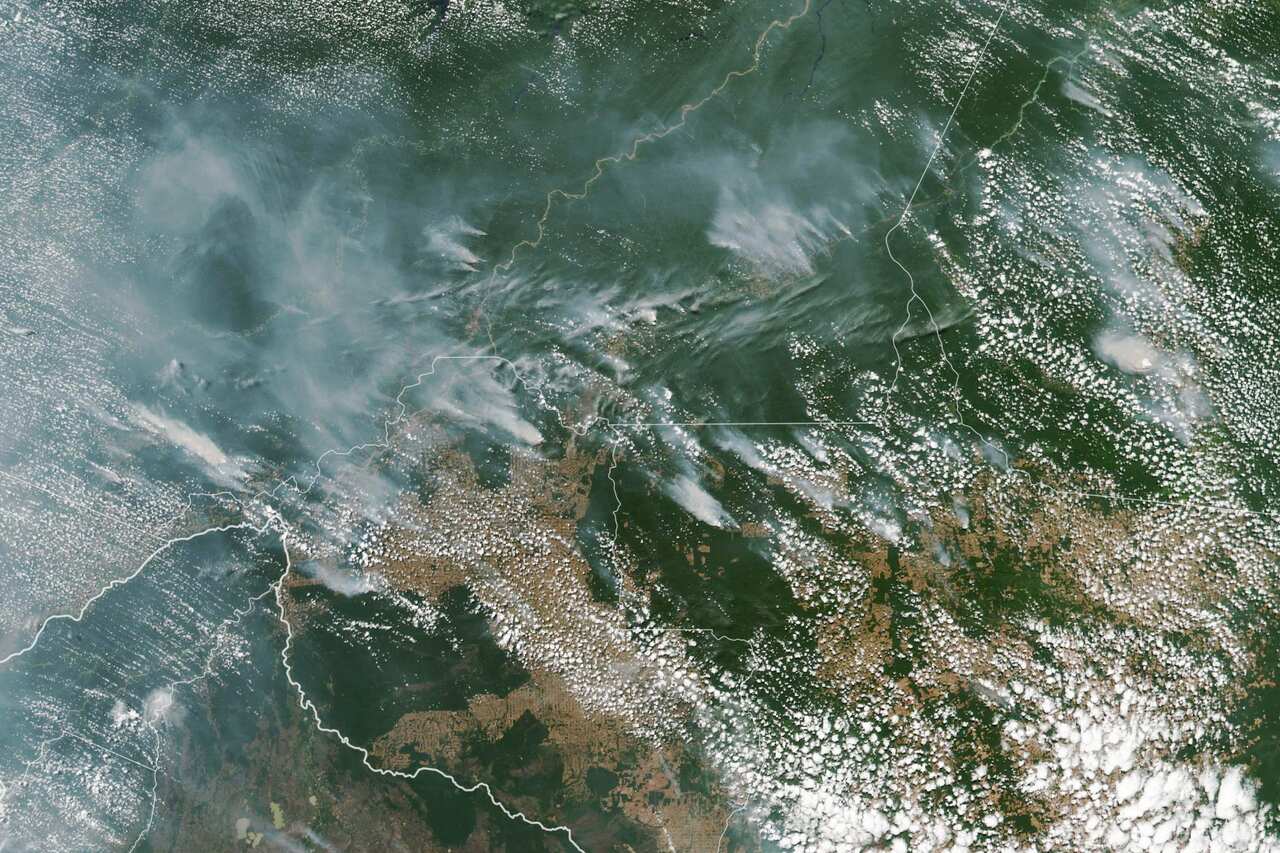 A satellite image showing several fires burning in the Brazilian states of Amazonas.
