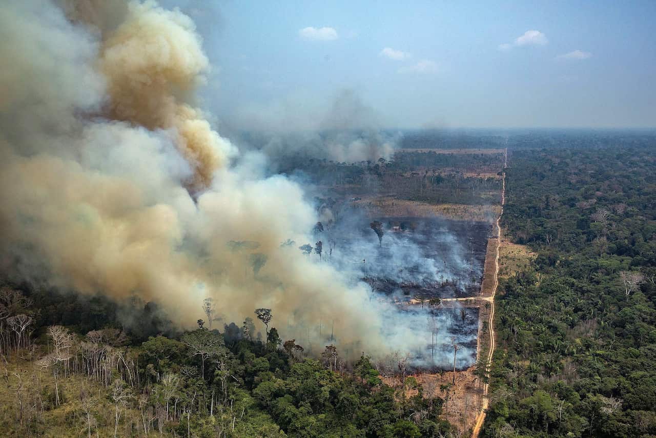 A handout photo made available by Greenpeace Brazil showing smoke rising from the fire at the Amazon forest in Novo Progresso