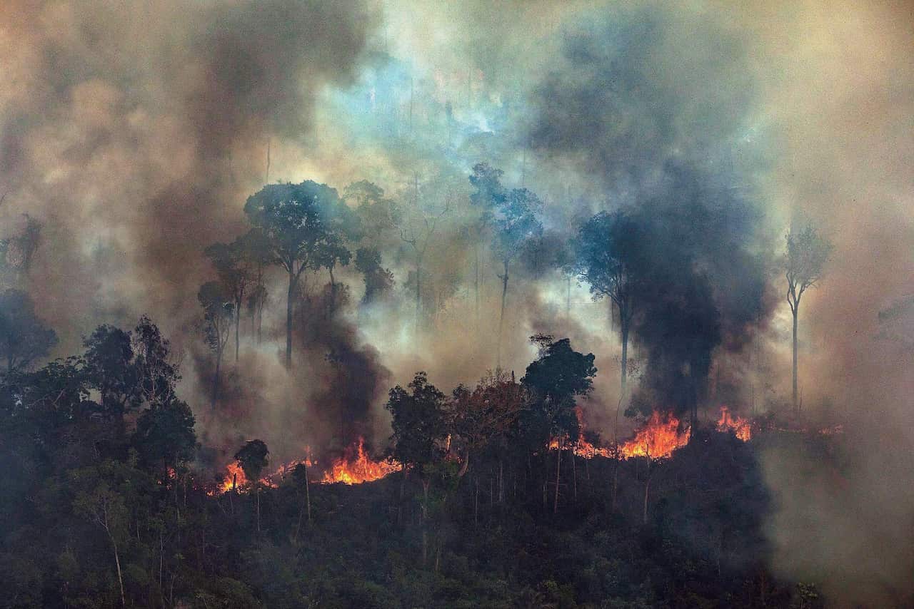 Smoke rising from the fire at the Amazon forest in Novo Progresso in the state of Para, Brazil