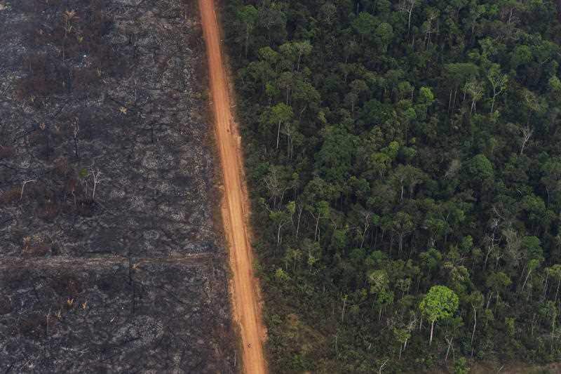 A lush forest sits next to a field of charred trees in Vila Nova Samuel, Brazil, Tuesday, Aug. 27, 2019