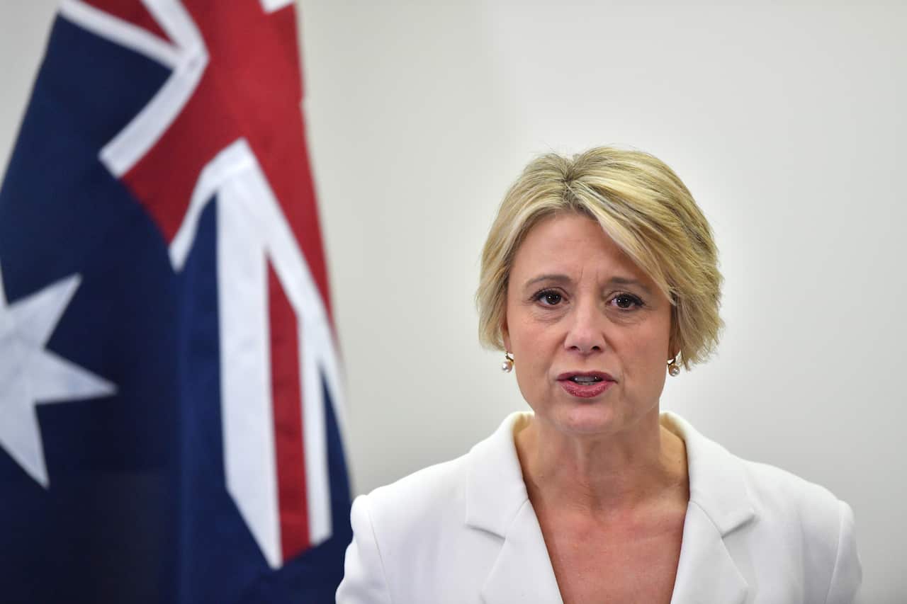 Shadow Minister for Home Affairs and Immigration Kristina Keneally speaks to the media in Adelaide, Friday, September 6, 2019. Senator Keneally is discussing the Tamil family from Biloela. (AAP Image/David Mariuz) NO ARCHIVING