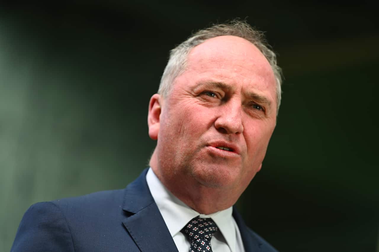 Nationals backbench MP Barnaby Joyce is among those calling for an increase to the Newstart payment beyond its twice-yearly indexation.