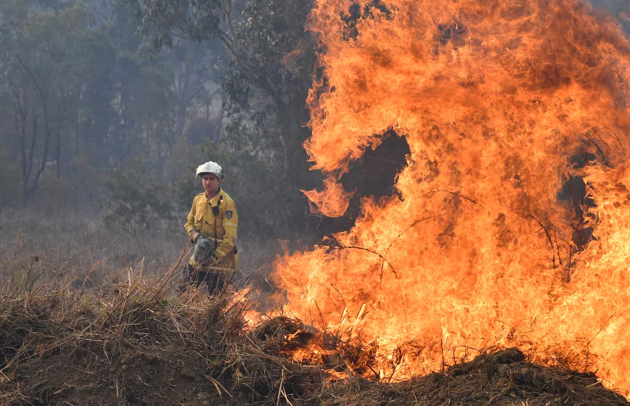 New South Wales Rural Fire Service firefighter is seen back burning in NSW.