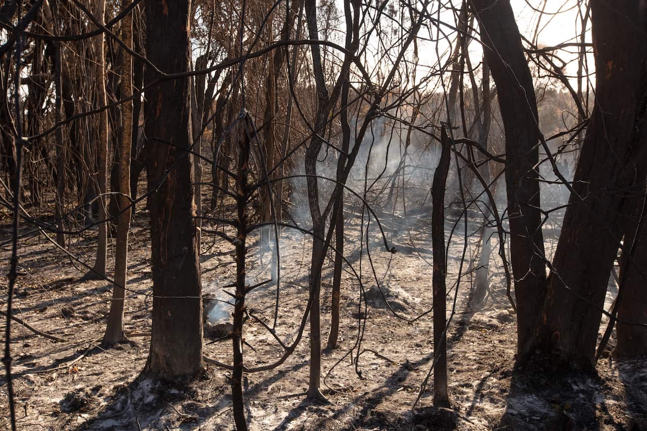 Burnt-out bushland is seen in Peregian Beach, Queensland.