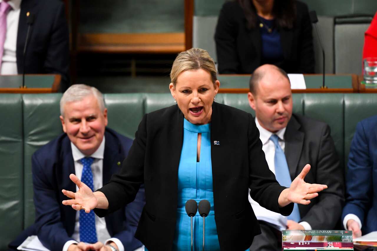 Environment Minister Sussan Ley has pledged the review of environmental laws will tackle 'green tape'.