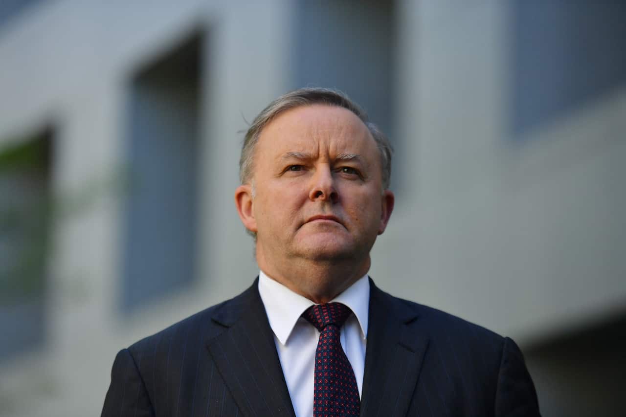Labor leader Anthony Albanese took over from Bill Shorten following the election. 